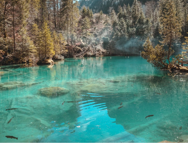 1663571468461495.jpg 4.jpg