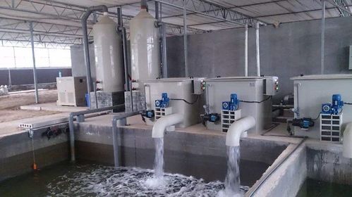 1756693442429400.jpeg 工業(yè)循環(huán)水.jpeg