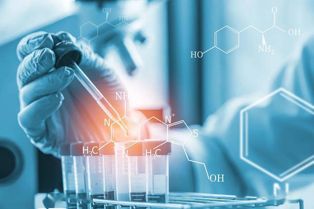 1756695072968871.jpg 1756695072968871.jpg